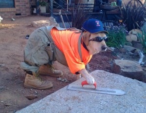 cute-dog-construction-worker